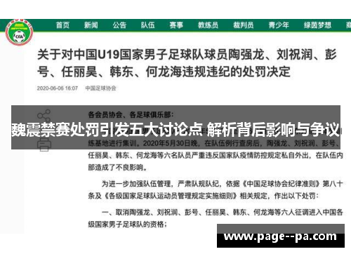 魏震禁赛处罚引发五大讨论点 解析背后影响与争议