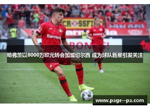 哈弗茨以8000万欧元转会加盟切尔西 成为球队新星引发关注 哈弗茨以8000万欧元转会加盟切尔西 成为球队新星引发关注