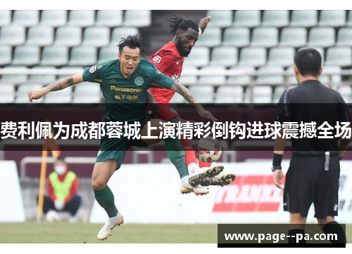 费利佩为成都蓉城上演精彩倒钩进球震撼全场 费利佩为成都蓉城上演精彩倒钩进球震撼全场