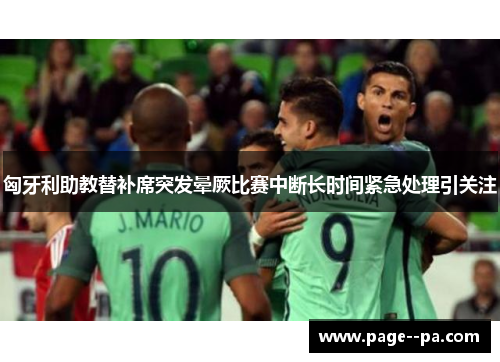 匈牙利助教替补席突发晕厥比赛中断长时间紧急处理引关注 匈牙利助教替补席突发晕厥比赛中断长时间紧急处理引关注
