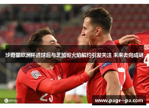 沙奇里欧洲杯进球后与芝加哥火焰解约引发关注 未来去向成谜