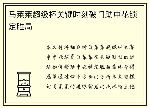马莱莱超级杯关键时刻破门助申花锁定胜局