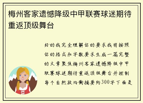 梅州客家遗憾降级中甲联赛球迷期待重返顶级舞台 梅州客家遗憾降级中甲联赛球迷期待重返顶级舞台